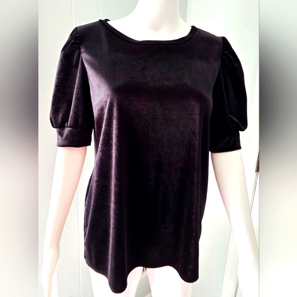 Acting Pro Black Velvet Puff Sleeve Blouse